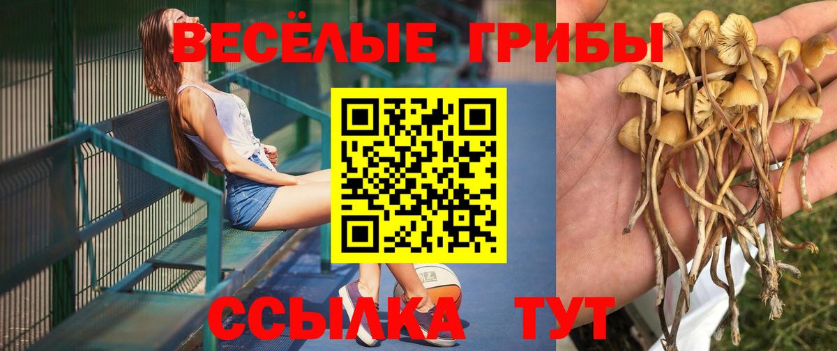 Мелеуз  Псилоцибиновые грибы Psilocybine cubensis  Вход с VPN 